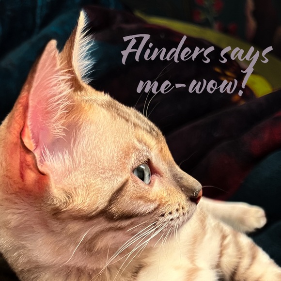 Saks Fifth Avenue Anthracite Heels 35.5 - Picture 14 of 14